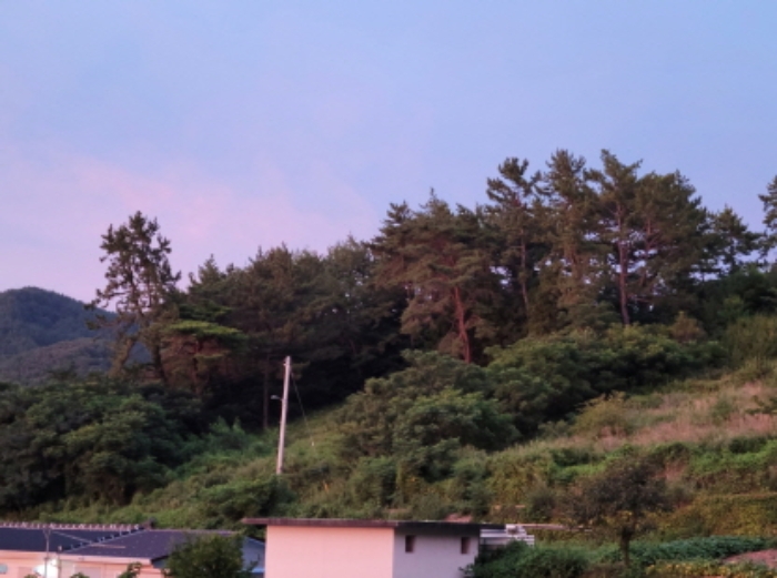 2021타경4007 사진