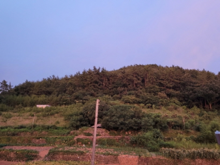 2021타경4007 사진