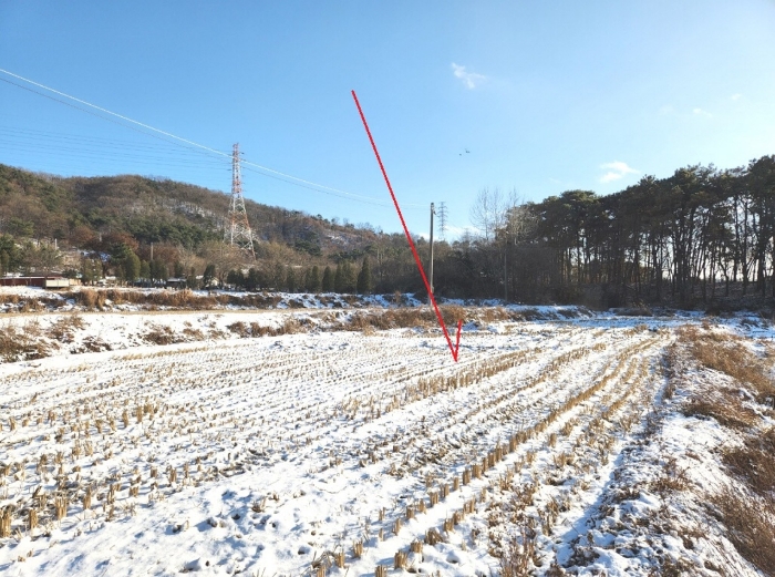 2022타경76117 사진
