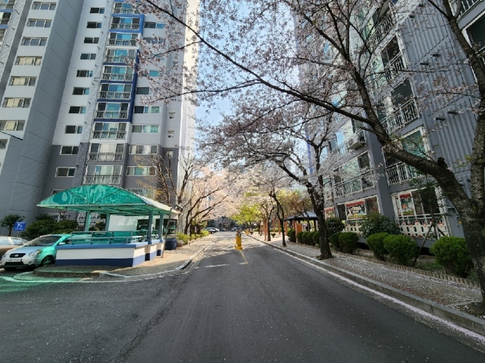 2022타경101263 사진