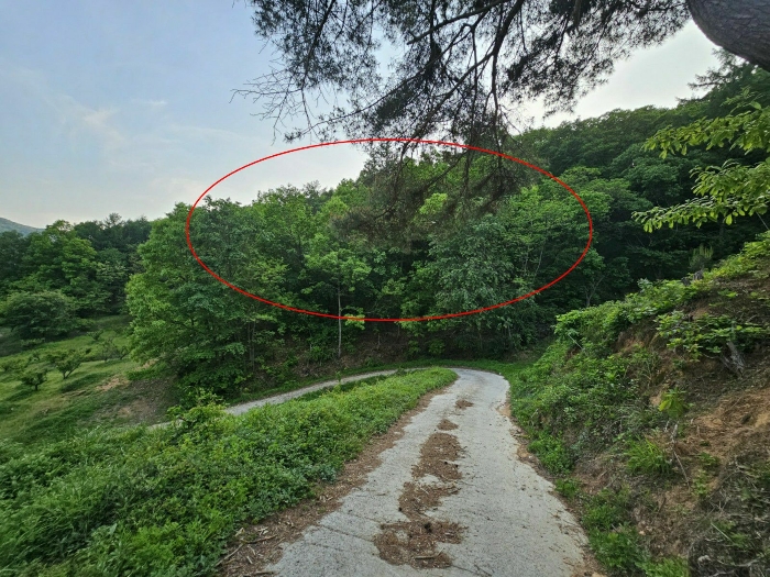 2023타경1261 사진