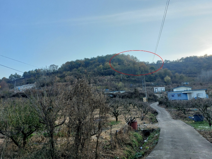 2023타경2294 사진