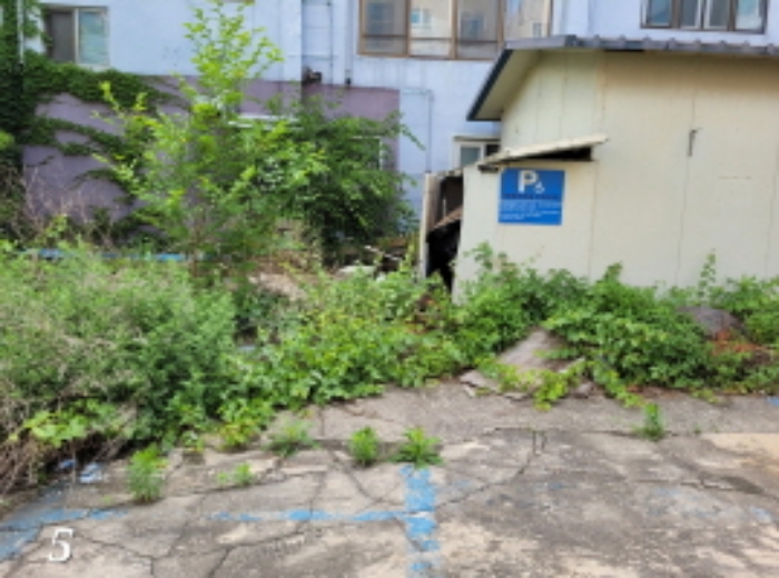2023타경2447 사진