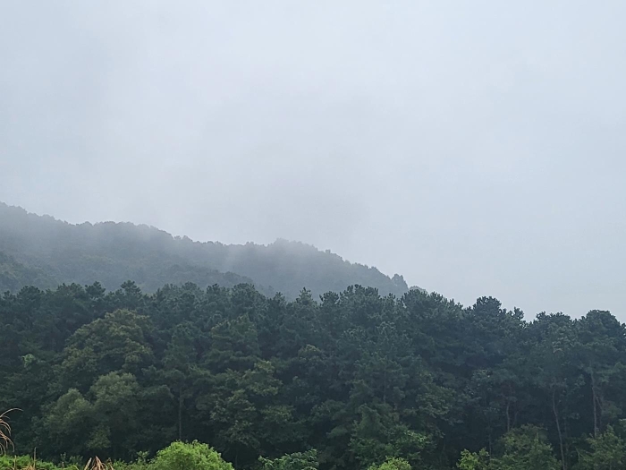 2023타경3464 사진