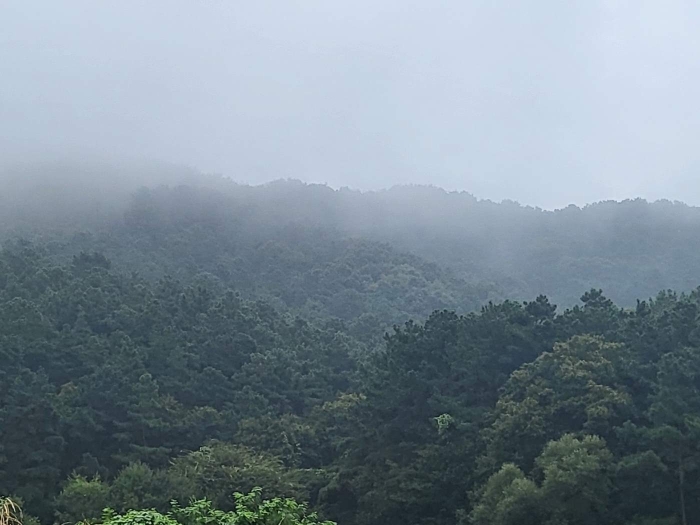 2023타경3464 사진