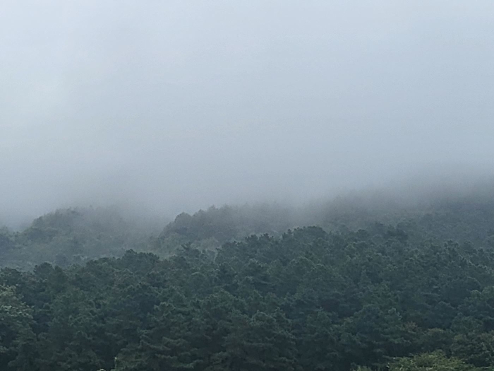 2023타경3464 사진