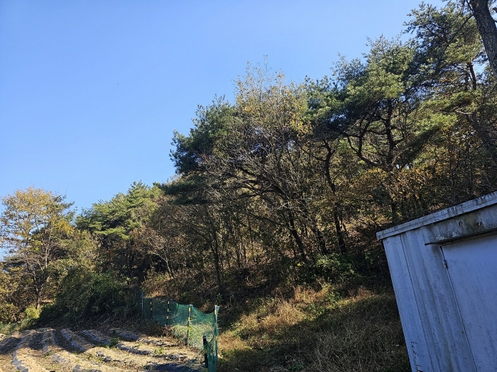 2023타경3859 사진