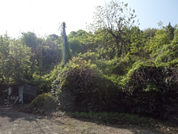 2023타경10844 사진