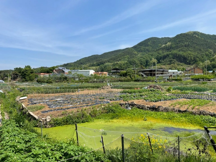 2023타경11407 사진