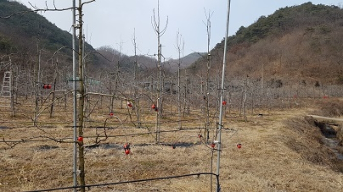 2023타경12031 사진