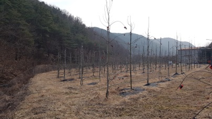 2023타경12031 사진