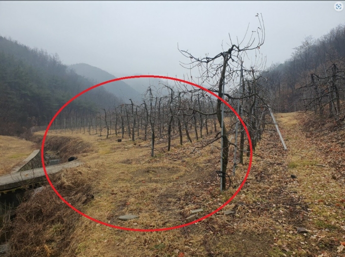 2023타경12031 사진