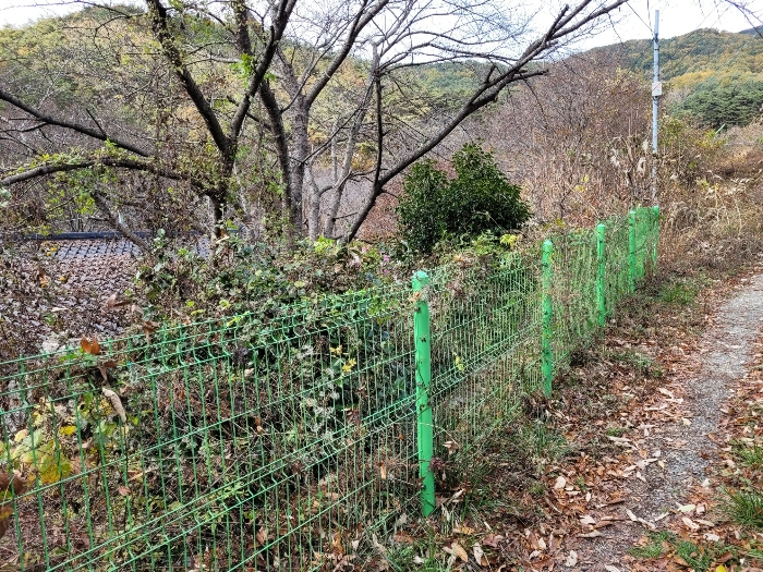 2023타경12826 사진