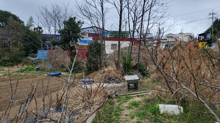 2023타경21995 사진