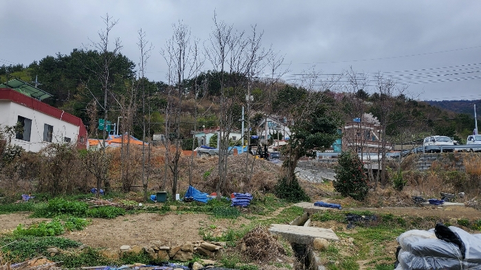 2023타경21995 사진