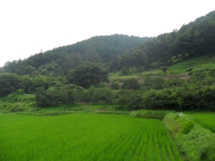 2023타경34103 사진