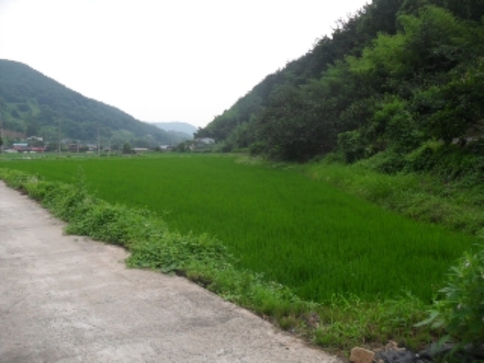 2023타경34103 사진