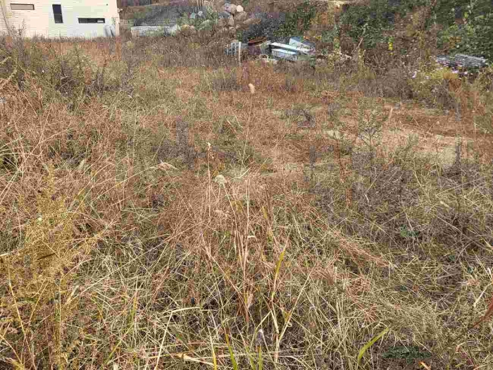 2023타경37184 사진