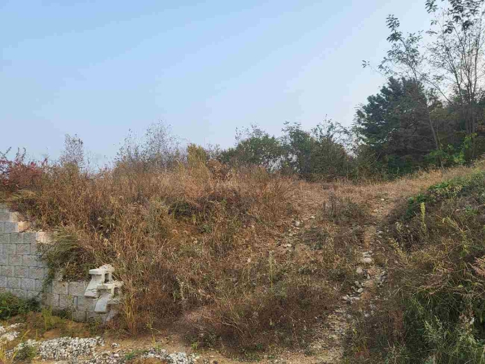 2023타경37184 사진
