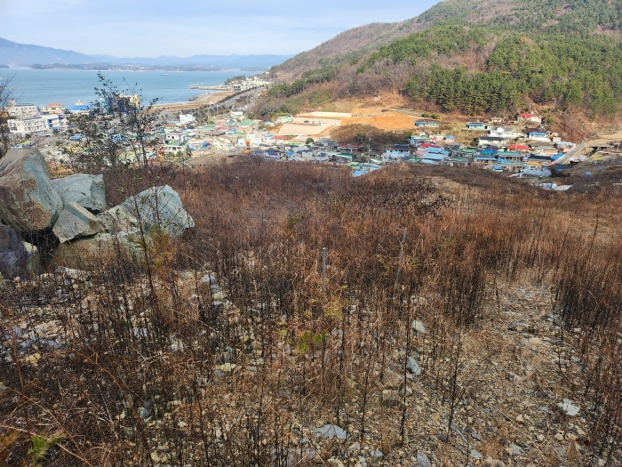 2023타경39290 사진