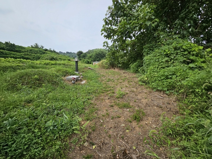 2023타경40753 사진