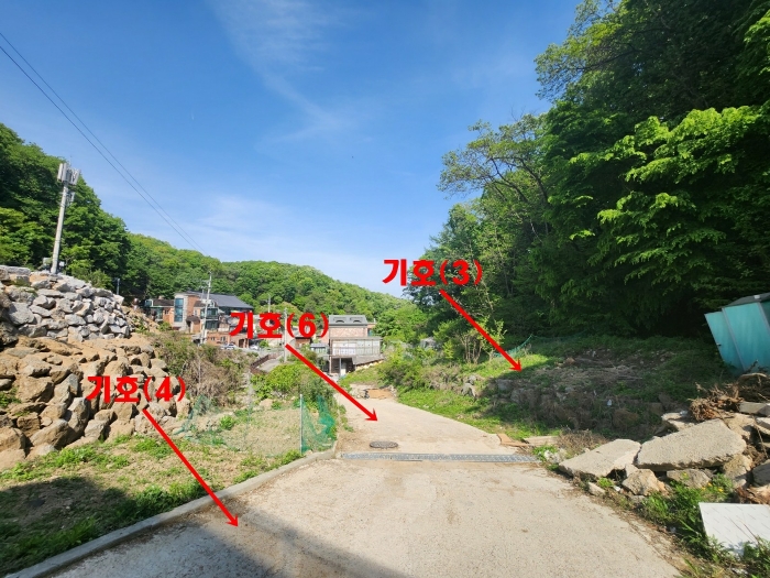 2023타경50559 사진