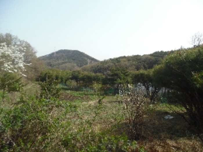 2023타경51586 사진