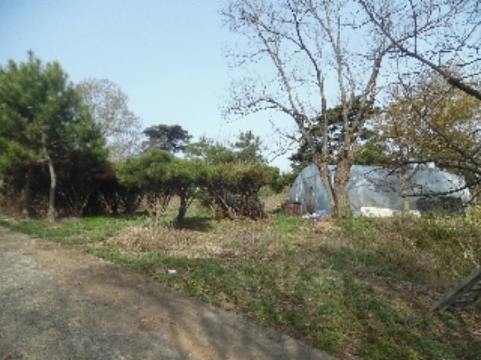 2023타경51586 사진