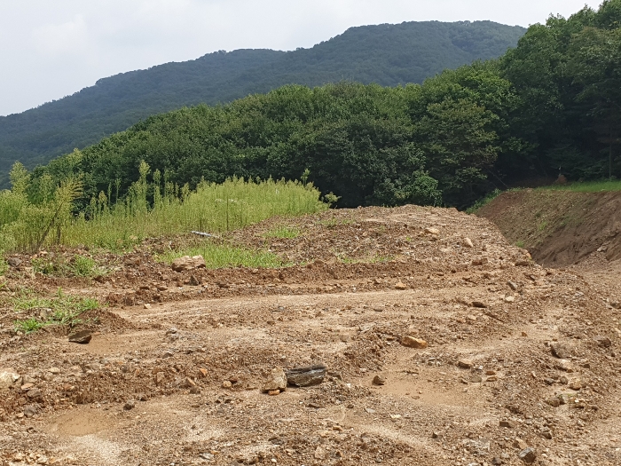 2023타경73924 사진