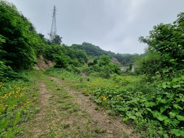 2023타경104071 사진