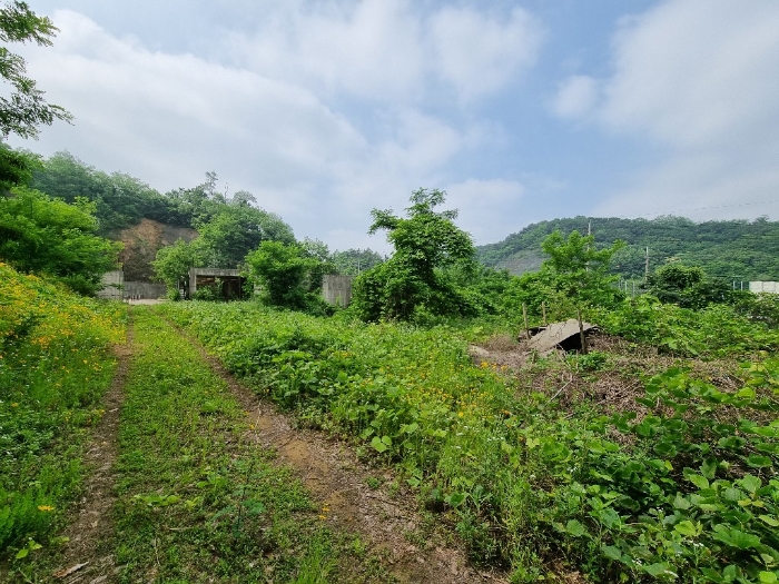 2023타경104071 사진