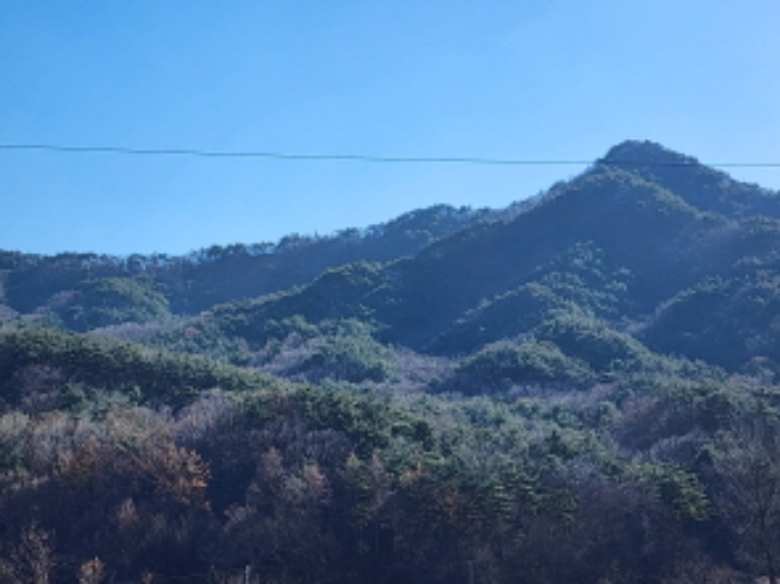 2023타경111072 사진