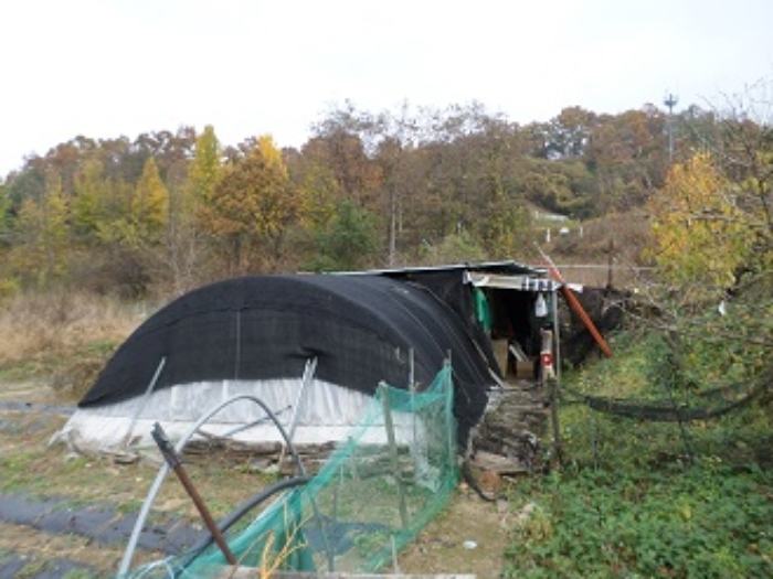 2023타경305204 사진