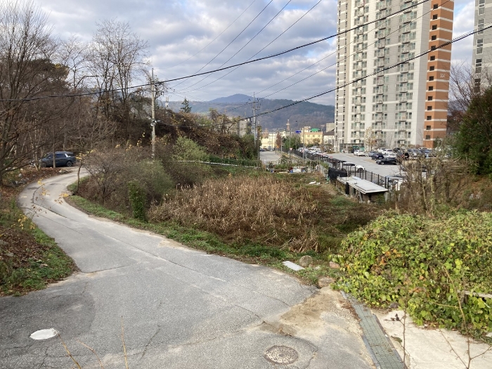 2023타경305488 사진