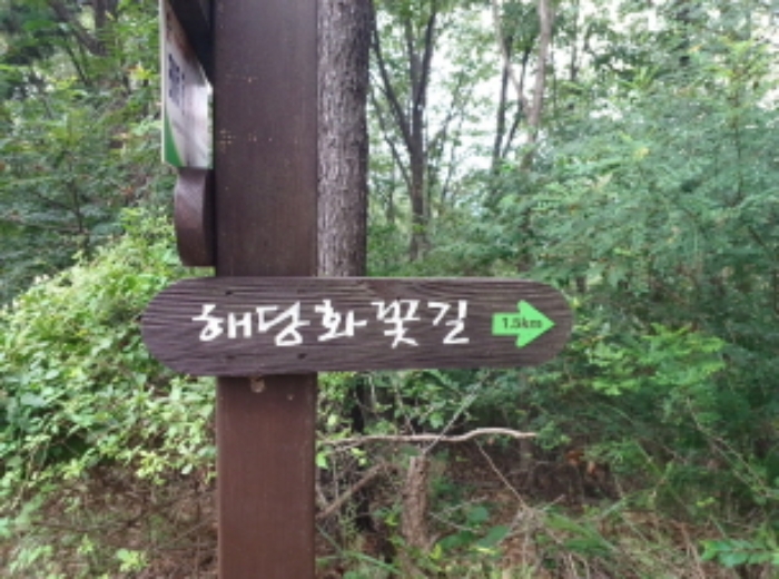 2023타경530659 사진