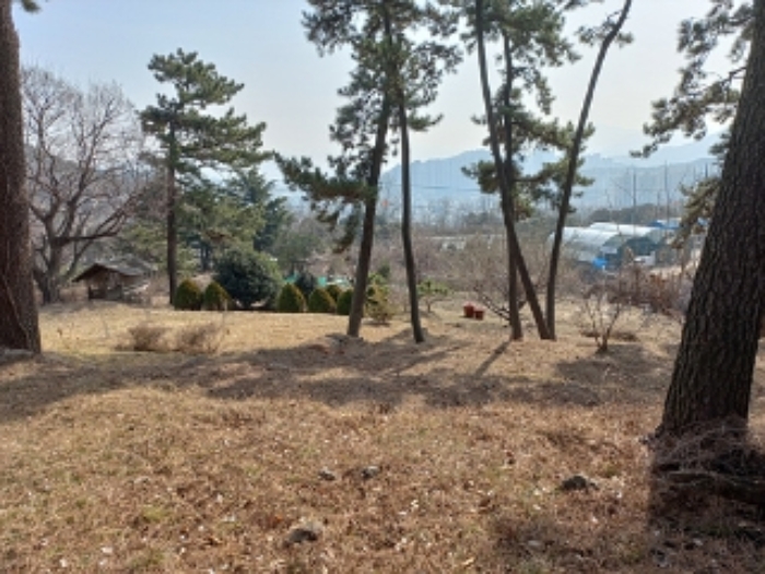 2024타경708 사진
