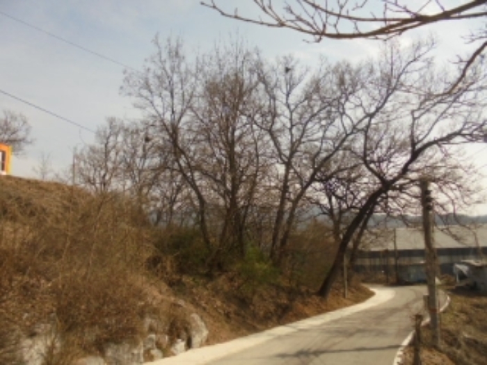 2024타경982 사진