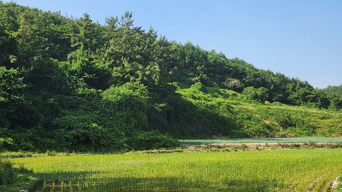 2024타경1323 사진