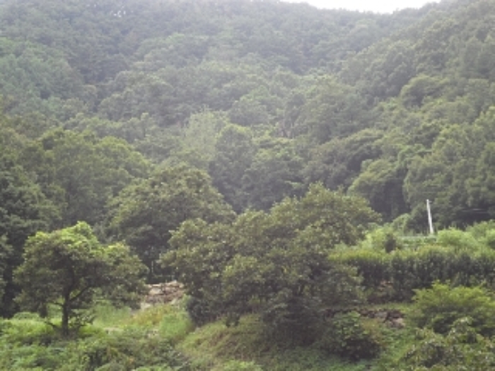 2024타경1700 사진