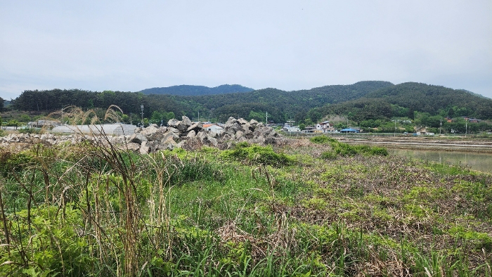 2024타경1745 사진