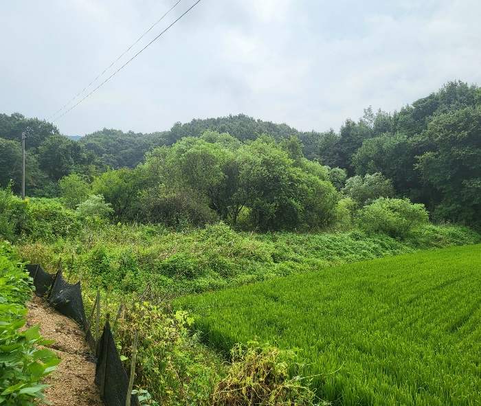 2024타경2452 사진
