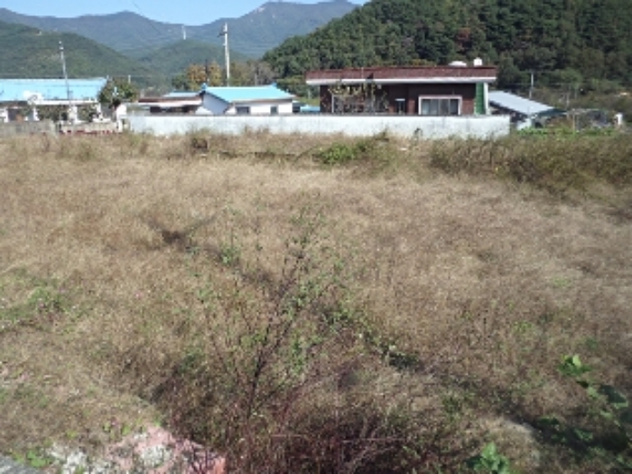 2024타경2536 사진