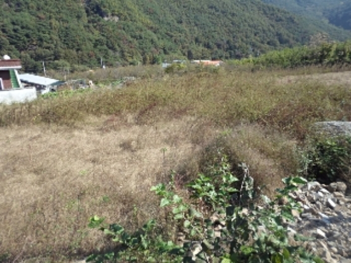 2024타경2536 사진