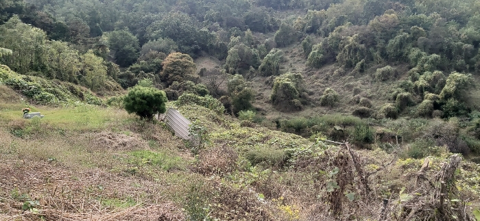 2024타경3158 사진