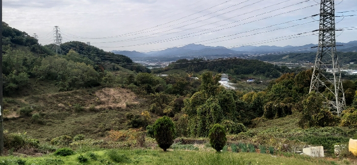 2024타경3158 사진