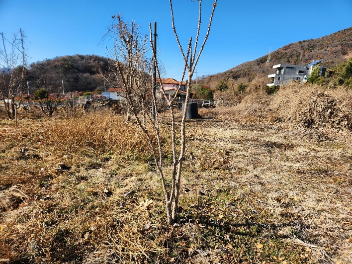 2024타경3270 사진