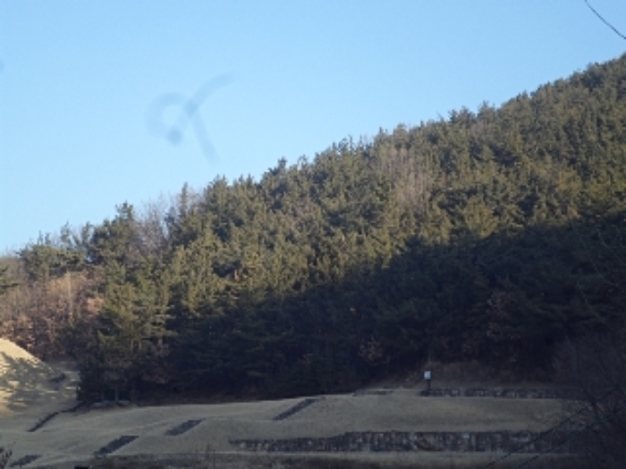 2024타경3300 사진