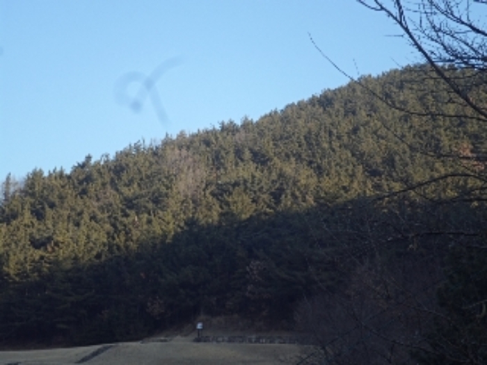2024타경3300 사진