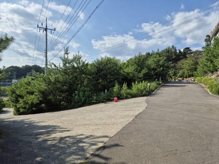 2024타경3517 사진