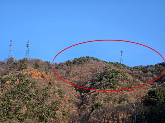 2024타경3561 사진